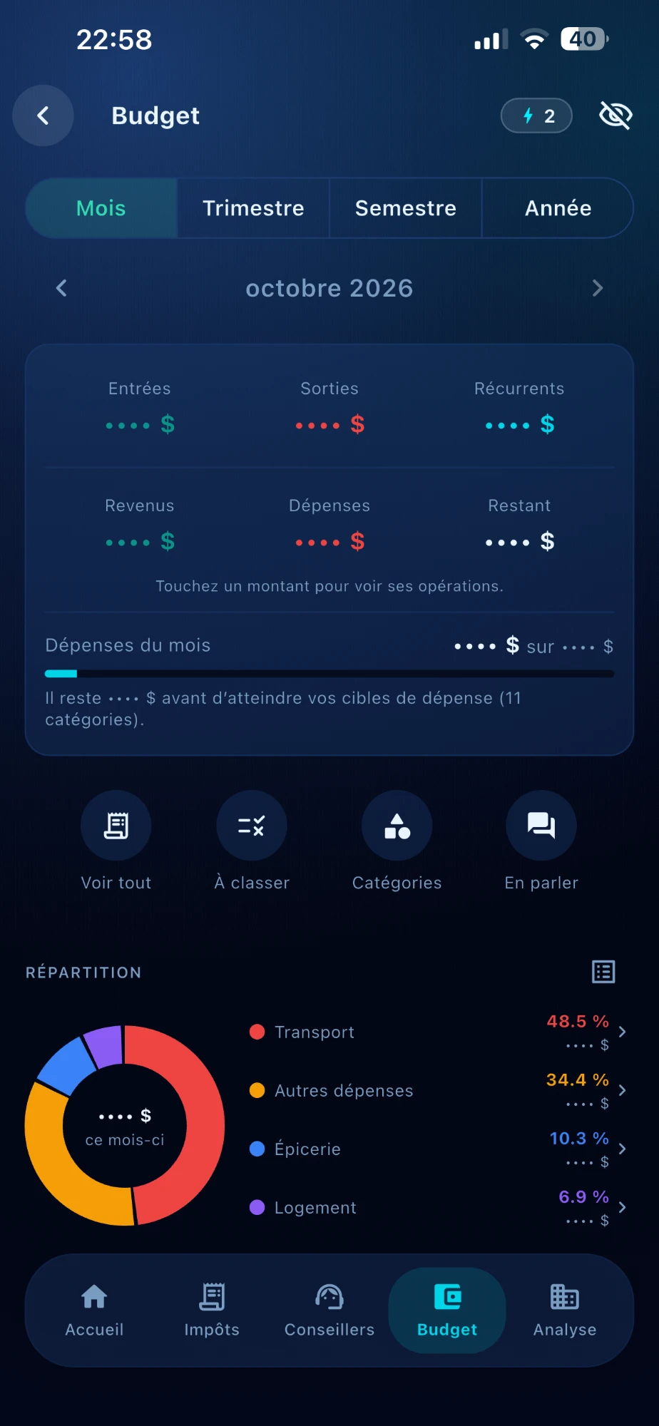 Budget du mois — dépenses réparties par catégorie